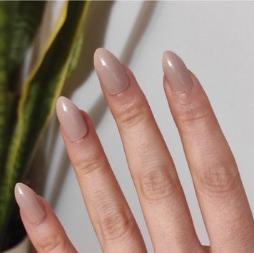Набір накладних нігтів Elegant Touch False Nails Blush Suede 24 Count 161877 фото