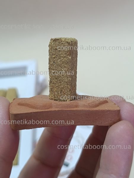Набір арома-циглинки з тримачем Green Tree Smudge Bricks with Holder 00072183 фото