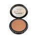 Бронзуюча пудра Technic Cosmetics Powder Shimmer Bronzer 3109106 фото 1